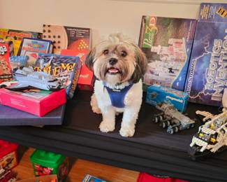 Meet Rudy, Coco's new friend!