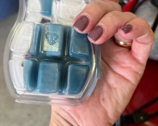 Included w/ Scentsy Warmer 