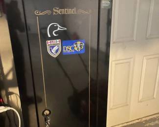 GUN SAFES