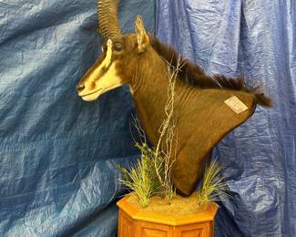 Sable (pedestal mount)