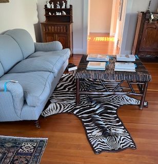 Zebra Rug