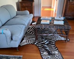 Zebra Rug