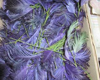 gorgeous old stock feathers and millinery 