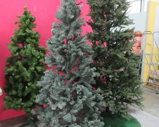 store Christmas trees....look how tall!