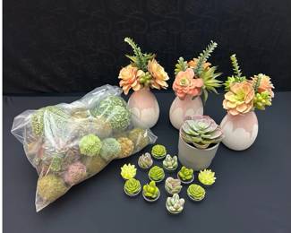 Sweet Succulent Decor Featuring Isaac Mizrahi & IKEA