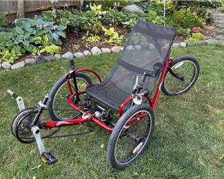 Recumbent Sidewinder Cycle