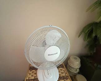 fan