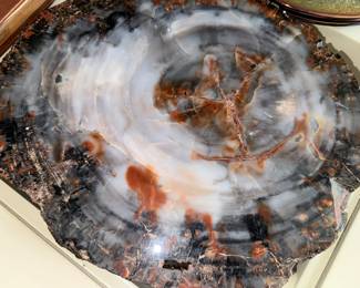 Pretty! Petrified wood??