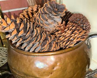 Pinecones in Huge Copper pot
