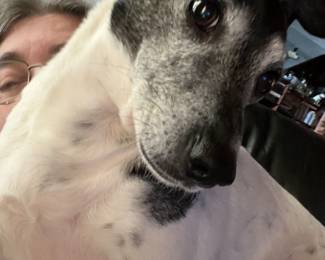 Who’s in charge here?