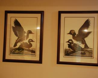 2 signed DUCK prints