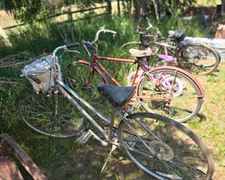 Various Bicycles in various conditions