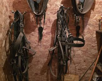 Assorted work harnesses, and associated tack.