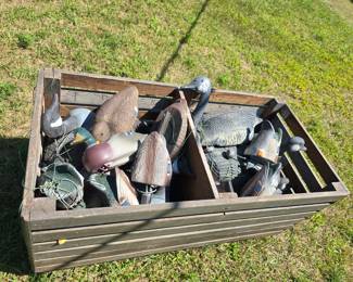 A big box of plastic Duck and Goose Decoys. The box is for sale too.