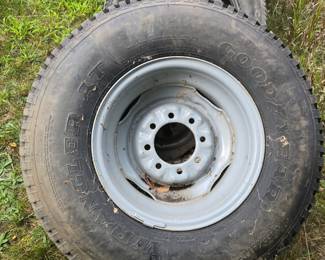 The best of the bunch