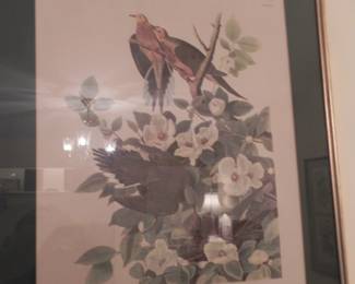 JJ Audubon Print