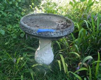 Bird Bath