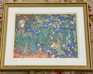 "Iris's" Framed Print