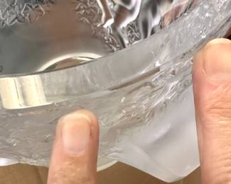 please note the teeny tiny flea bites