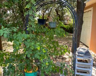 metal garden arch