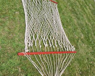 Ready for your tree....