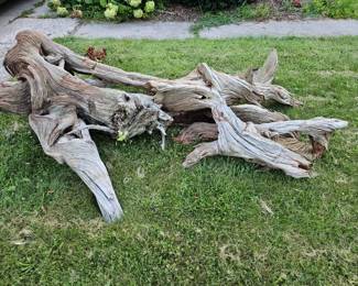 Driftwood for sale