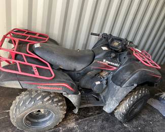 Kawasaki Brute Force