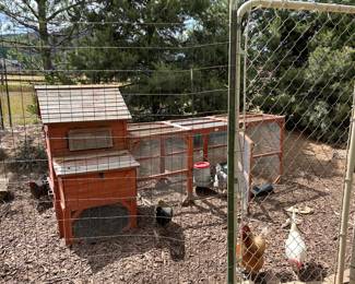 Chicken coop, chickens are not for sale 