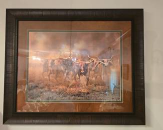 Longhorn Cattle Picture 