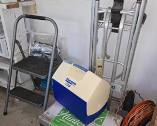 Ceiling Fan - Ladders