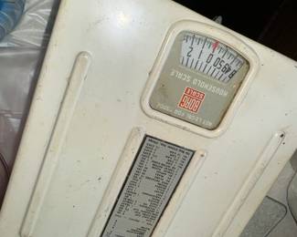 Borg Household Scale