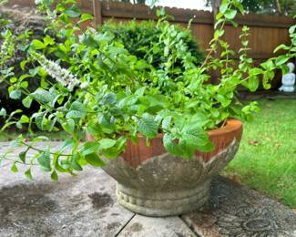 198 Outdoor Planter Samplermin