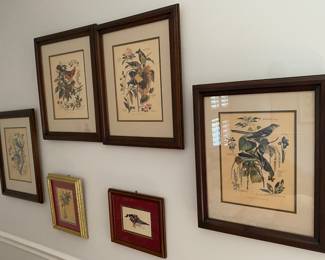 Bird Themed Framed Prints