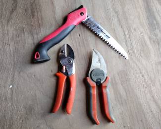 Corona sheers. Open to negotiate.