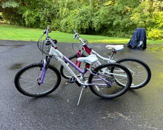 Children's 10 speed bikes