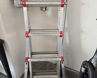 Little Giant ladder