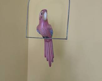 Pink parrot