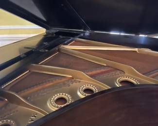 The inside of the piano