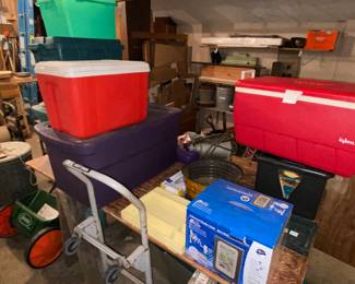 Totes, bins and coolers