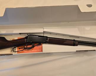 Henry 17 Cal Varmint Rifle
