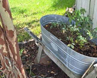 Outdoor Country Yard Art