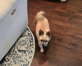 NO TUCKER IS NOT FOR SALE