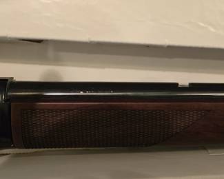 Henry 17 Cal Varmint Rifle