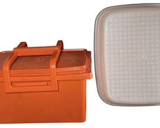 Tupperware Tote and Meat Marinade