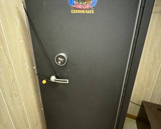 Canon gun/rifle safe