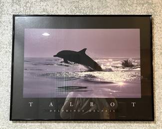 Lot 19 | Talbot Framed Poster of Dolphin Delphinus Delphis
