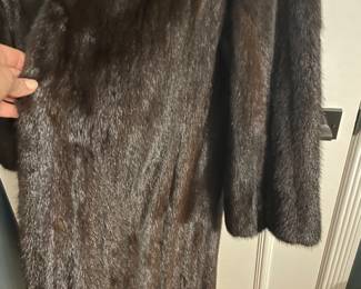 Another view of long mink