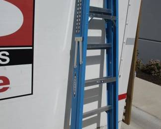 Werner Blue and Yellow 6 Ft. Ladder