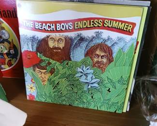 The Beach Boys vinyl LP records set