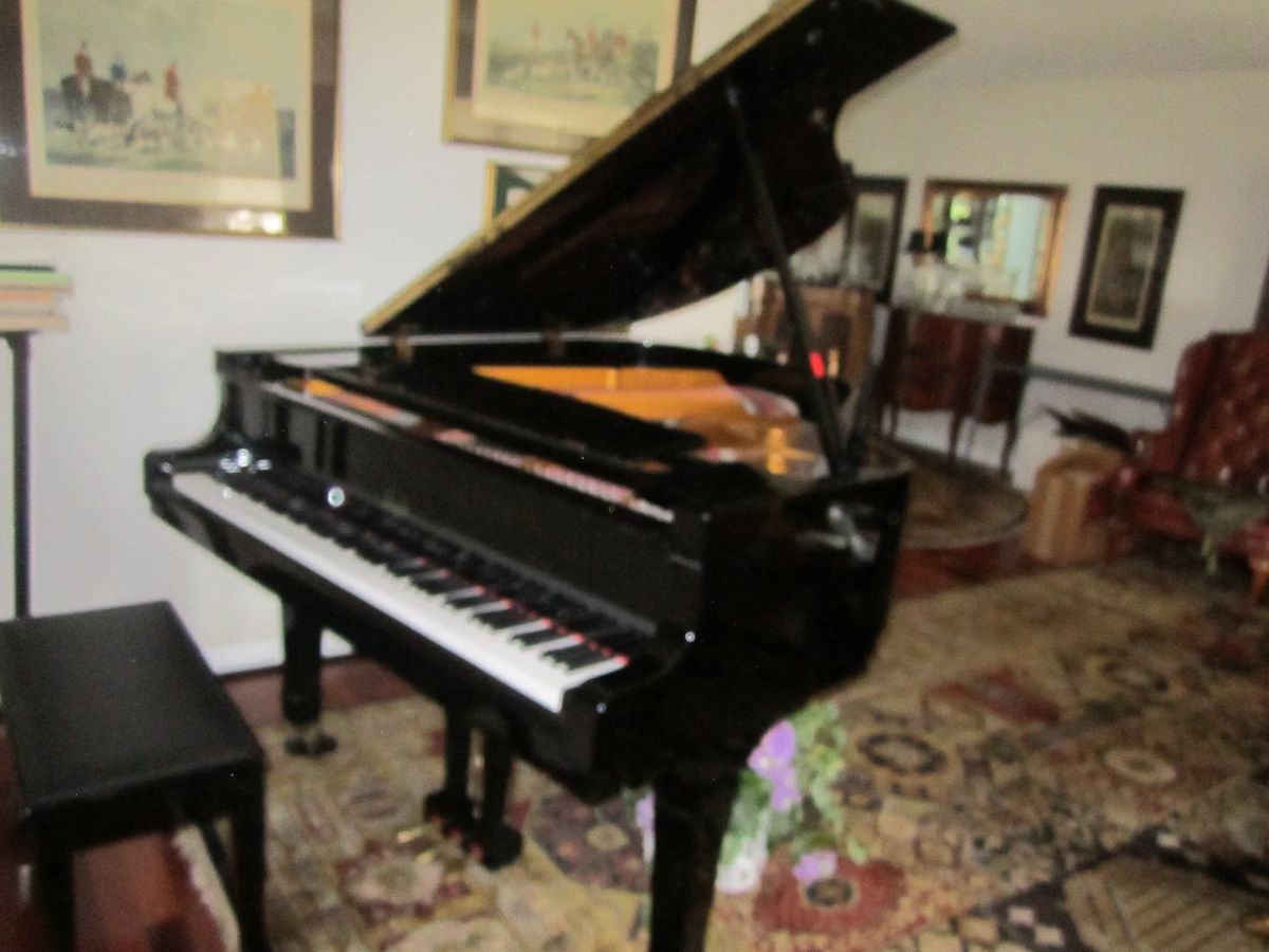 Beale - Young Chang America - mfg .  Large oriental carpet